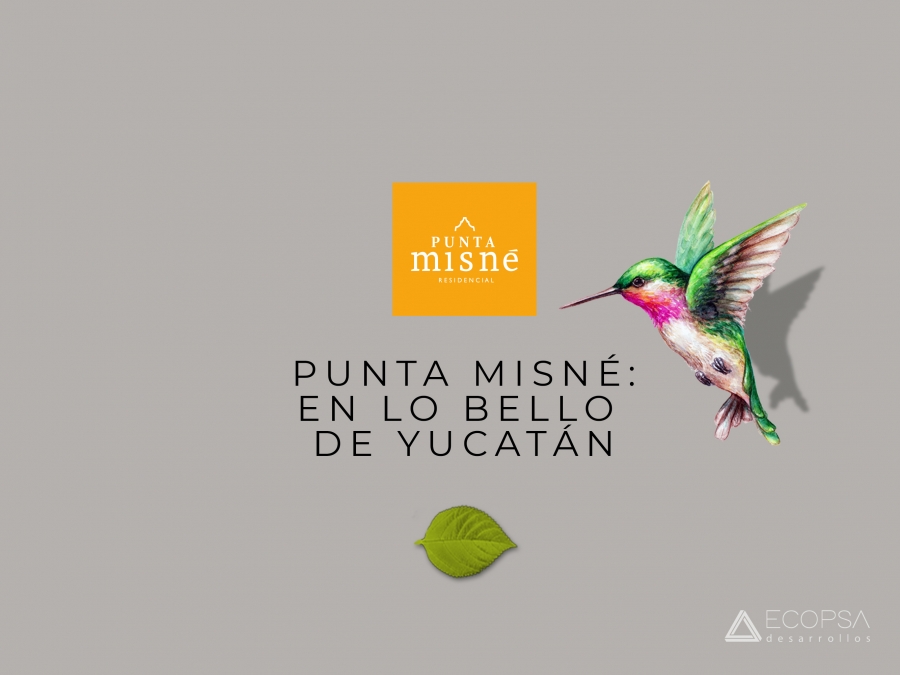 Punta Misné: En lo bello de Yucatán